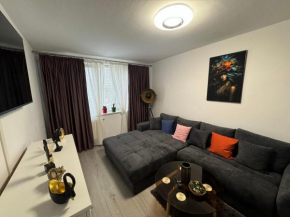 Apartament David